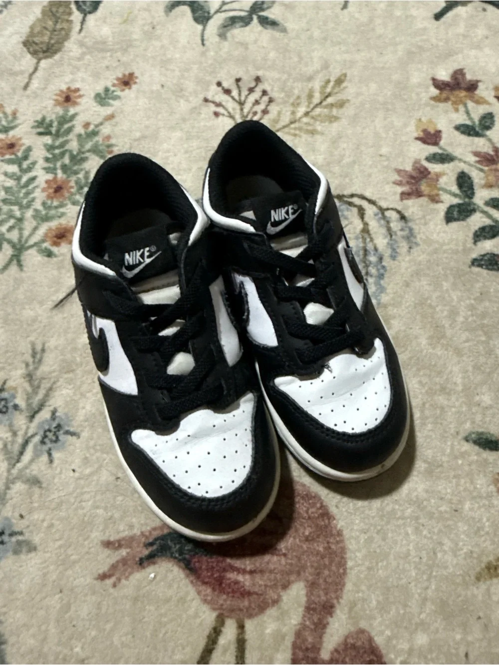 Nike dunk Kids Black and White Low-Top Sneakers 10C